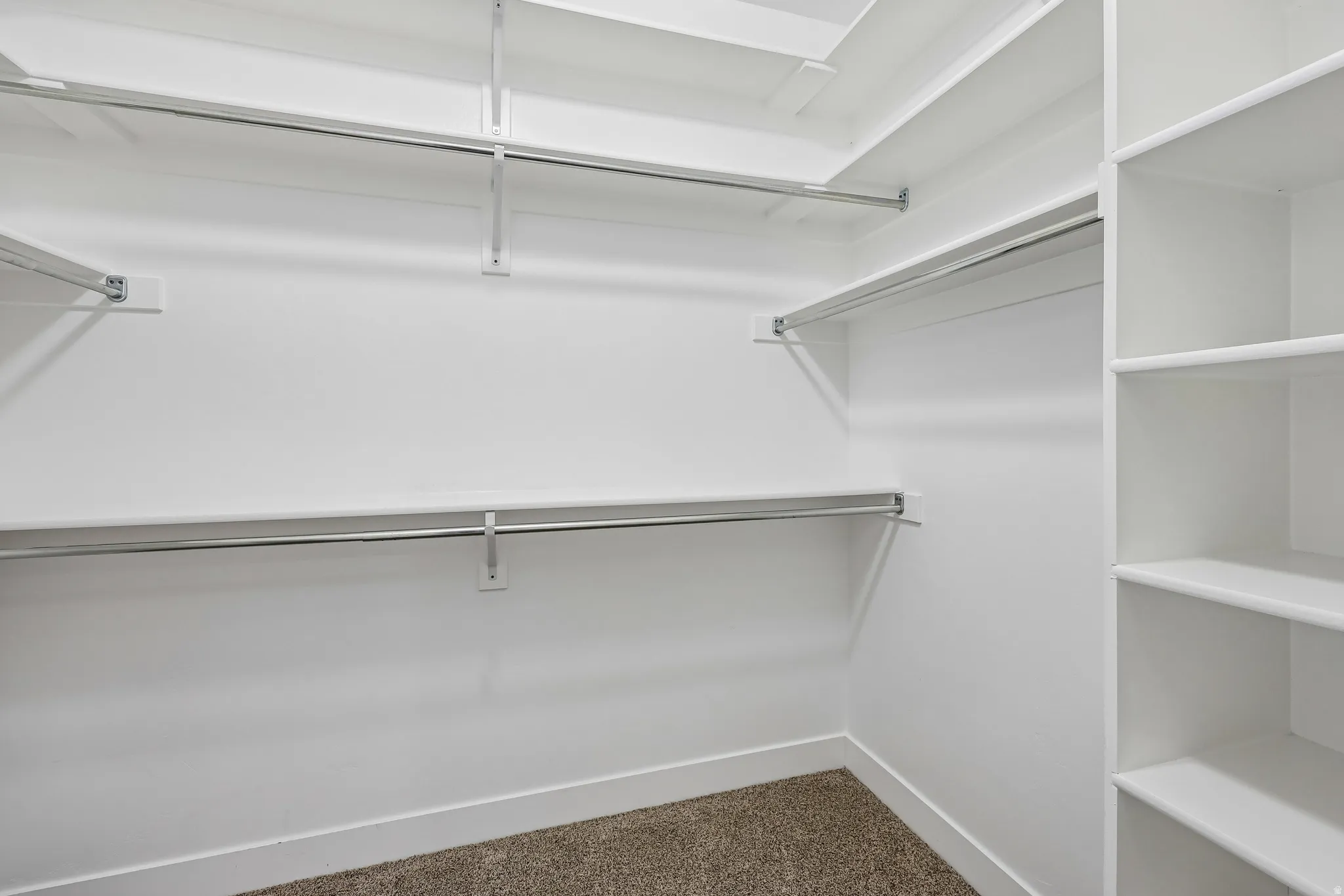 Walk-in closet featuring white built-in shelving, multiple hanging rods, and carpet flooring