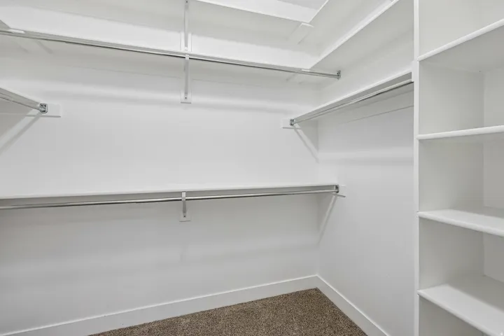 Walk-in closet featuring white built-in shelving, multiple hanging rods, and carpet flooring