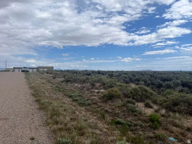 Expansive open land featuring natural vegetation and a gravel access road
