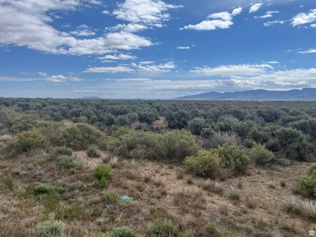 Expansive acreage featuring natural vegetation and distant mountain ranges