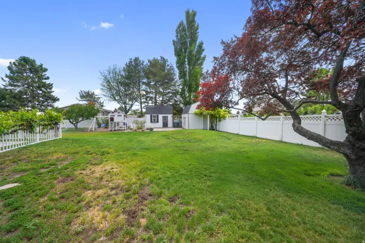 Expansive backyard featuring a lush lawn, a mature red-leafed tree, a white picket fence with climbing greenery, a detached storage shed, and a privacy fence