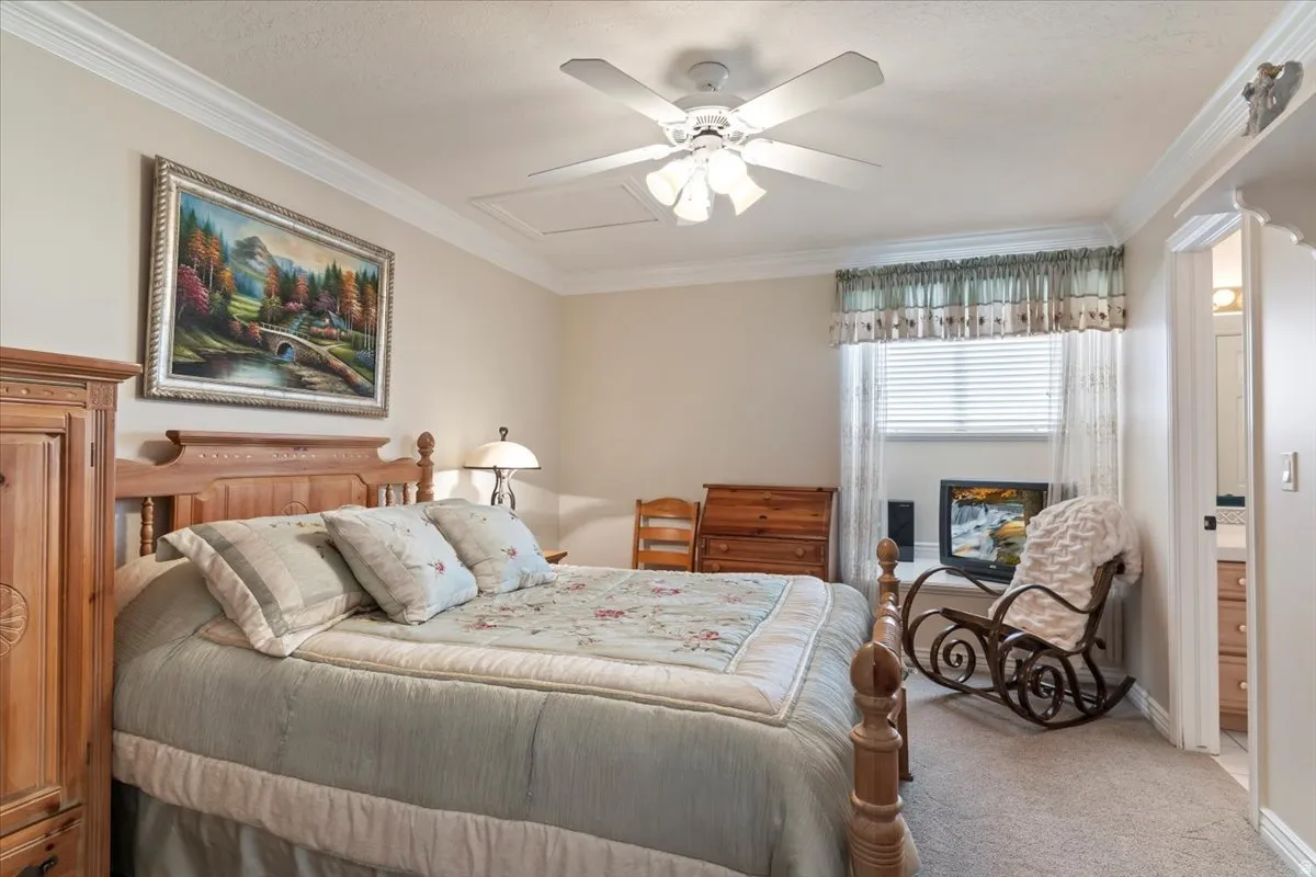 Carpeted bedroom with crown molding, a ceiling fan, and a window with blinds