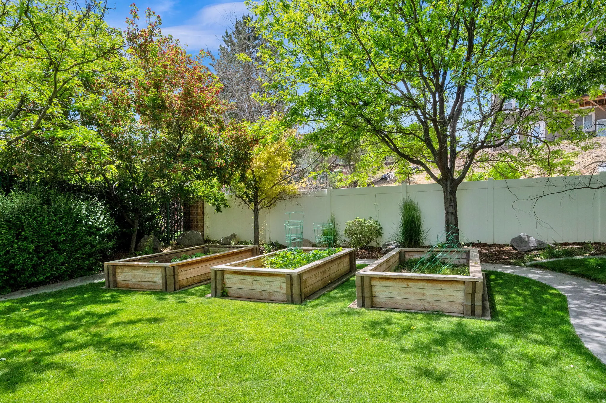 Raised Garden Boxes
