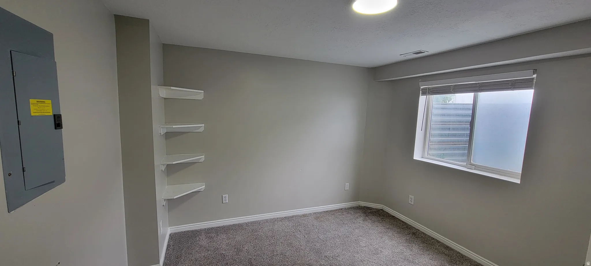 Carpeted room with light gray walls and white trim