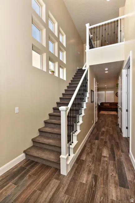 Two-story entryway featuring wood-finish flooring, a carpeted staircase with white newel posts, and wrought iron balusters