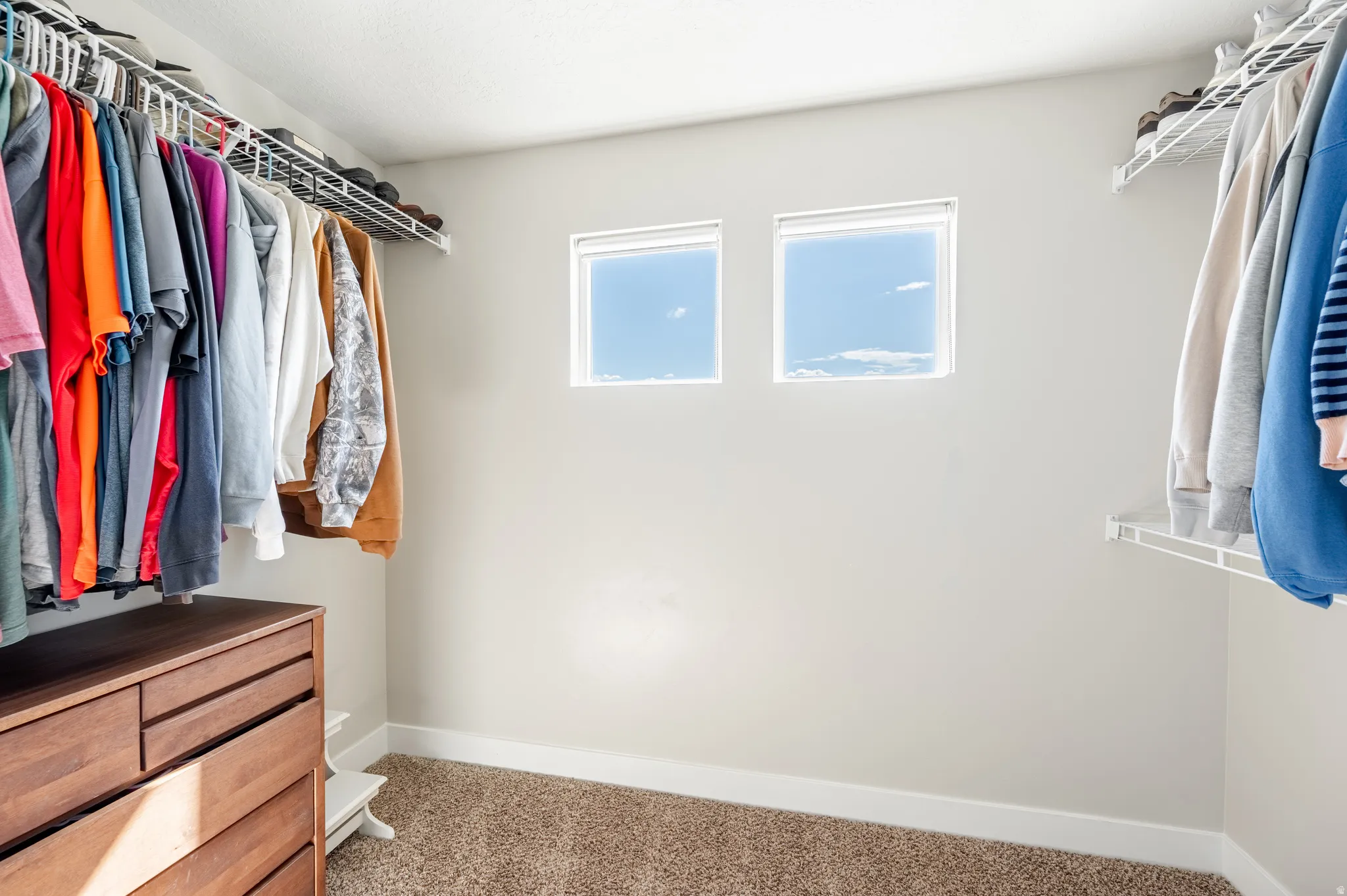 Carpeted walk-in closet featuring dual windows, wire shelving, and hanging rods