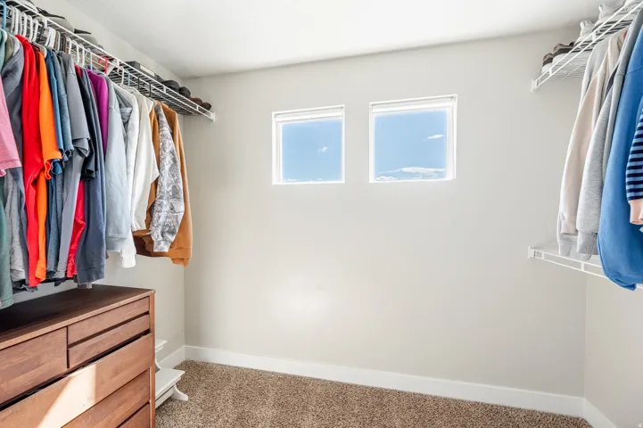 Carpeted walk-in closet featuring dual windows, wire shelving, and hanging rods