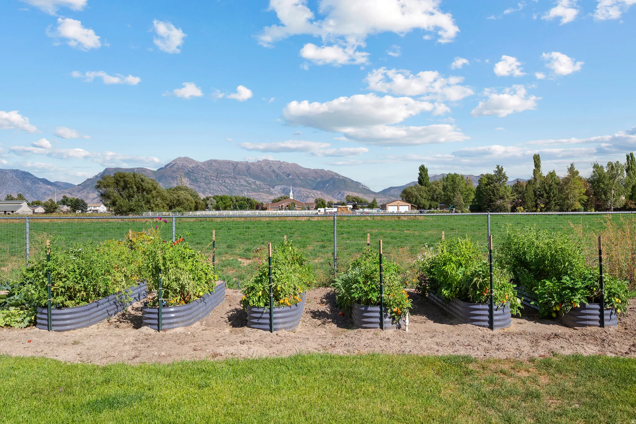 Expansive property with multiple raised garden beds