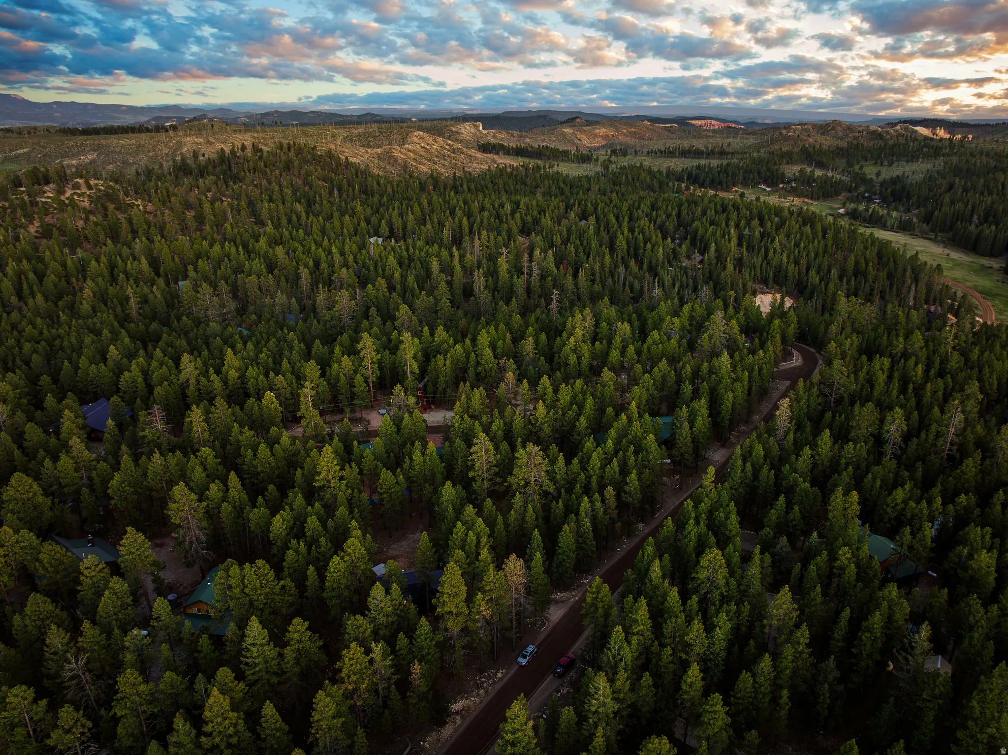 Aerial — Pine Forest Surroundings