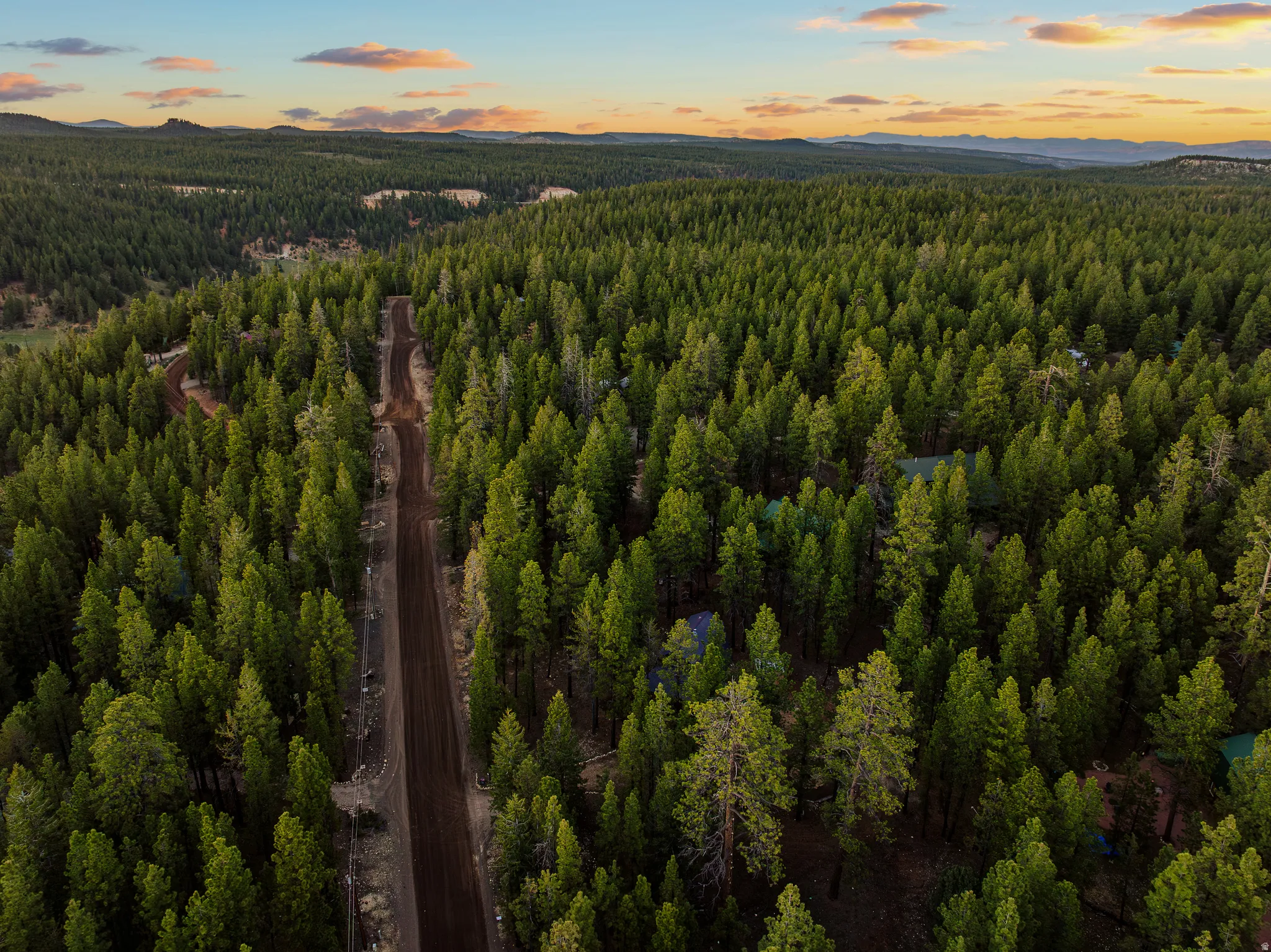 Aerial — Forest Roads Through Swains Creek Pines