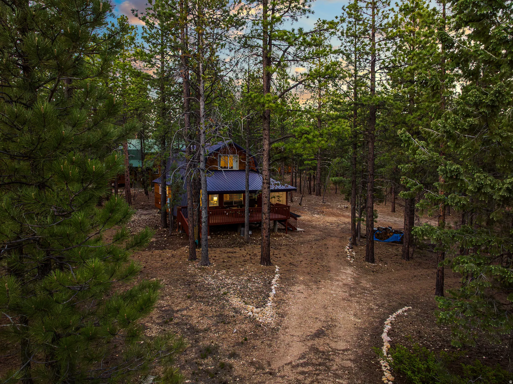 Cabin Set Among Mature Pines