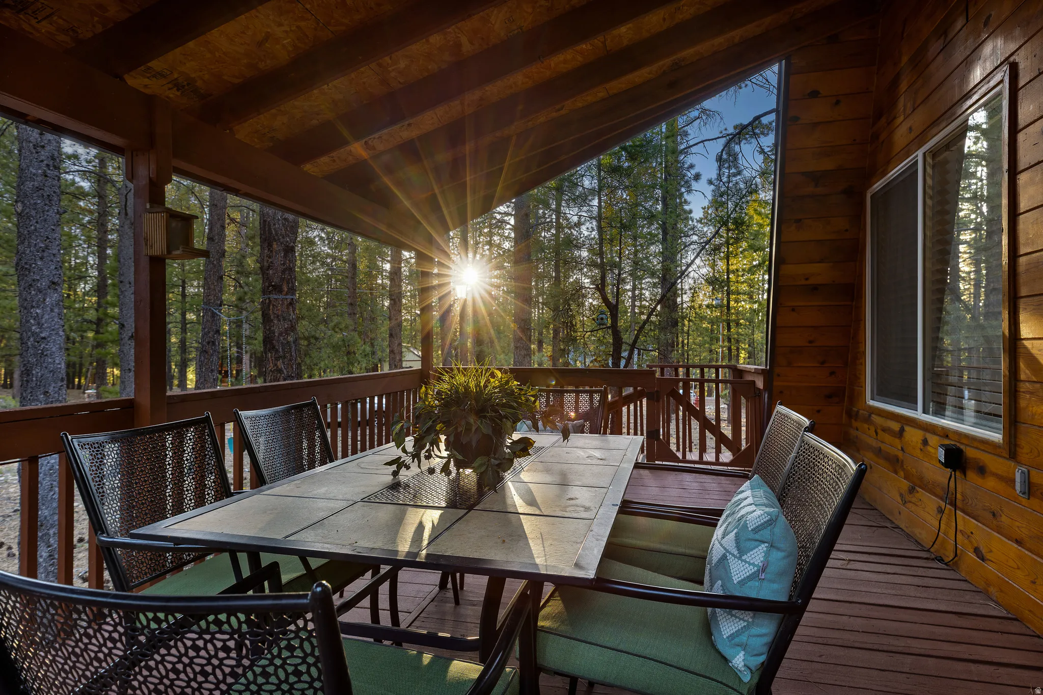 Dinner with a View of the Forest