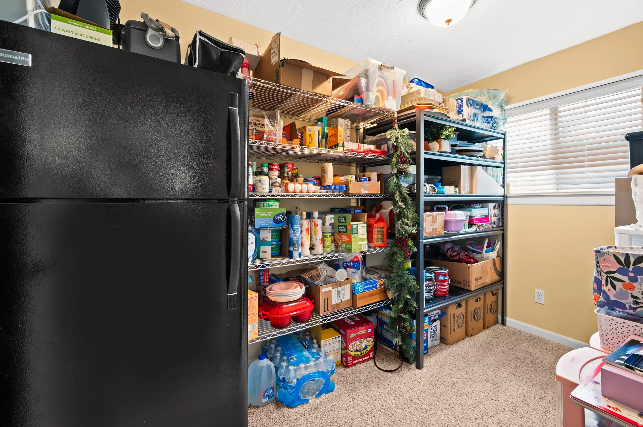 Dedicated pantry area featuring multiple wire shelving units, carpet flooring, a single window with blinds, and a ceiling-mounted light fixture