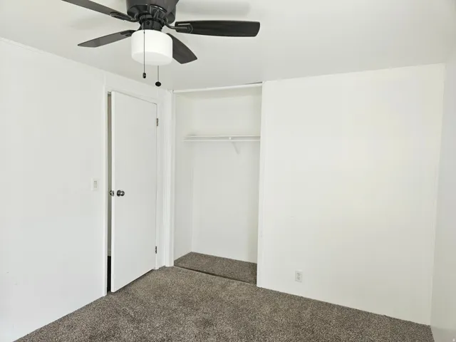 Interior room featuring neutral wall paint, dark grey carpet flooring, a ceiling fan with integrated lighting, and an open closet with shelving