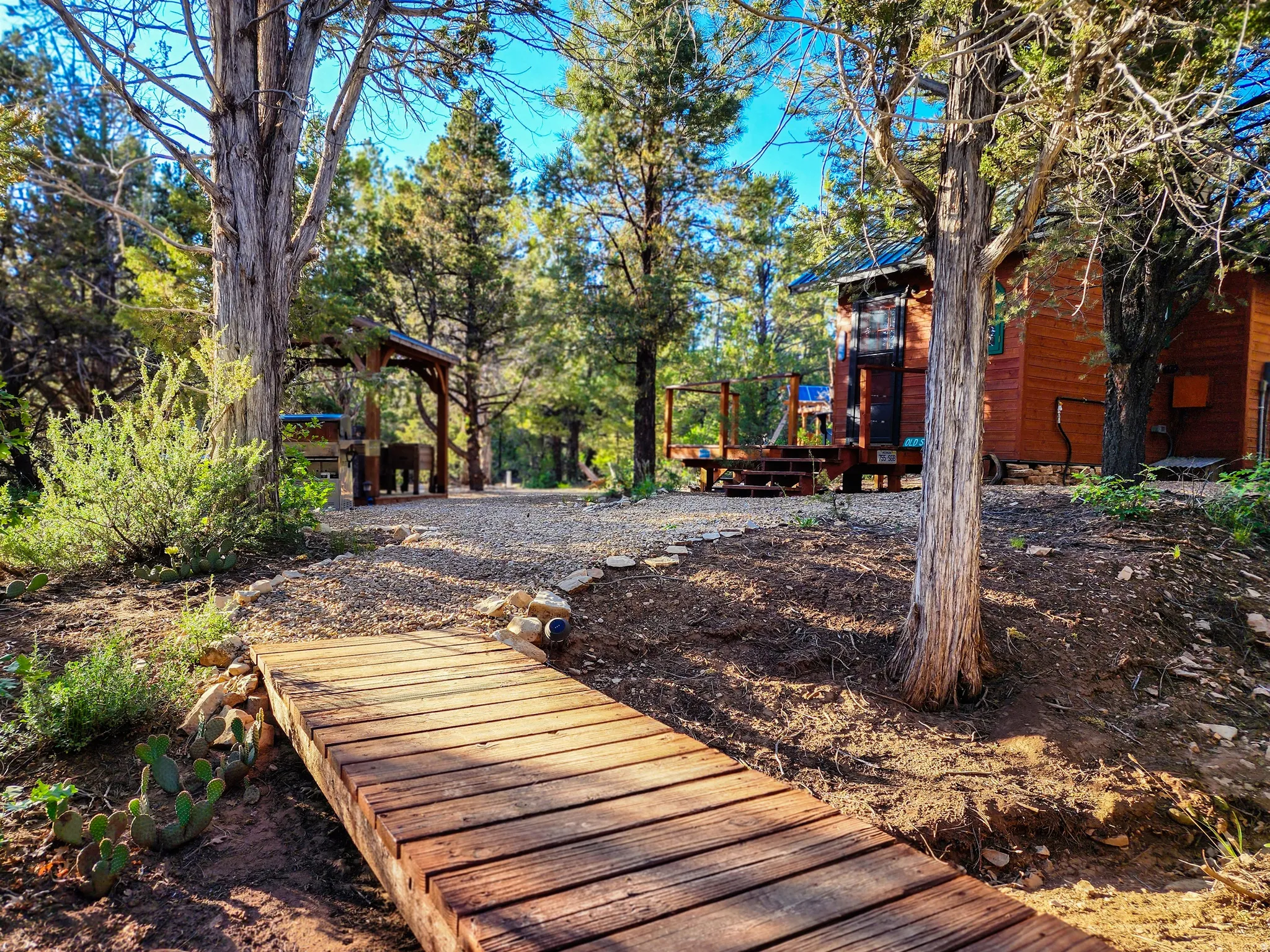 Wooden footbridge with a gravel path, surrounded by mature trees and native plants, leading to a wood-sided structure and an open-air pavilion