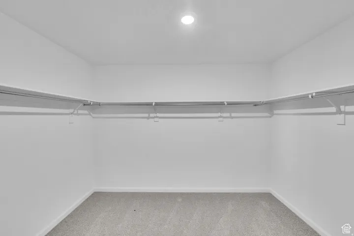 Walk-in closet featuring light gray carpeting, white walls, and a built-in shelving and hanging system