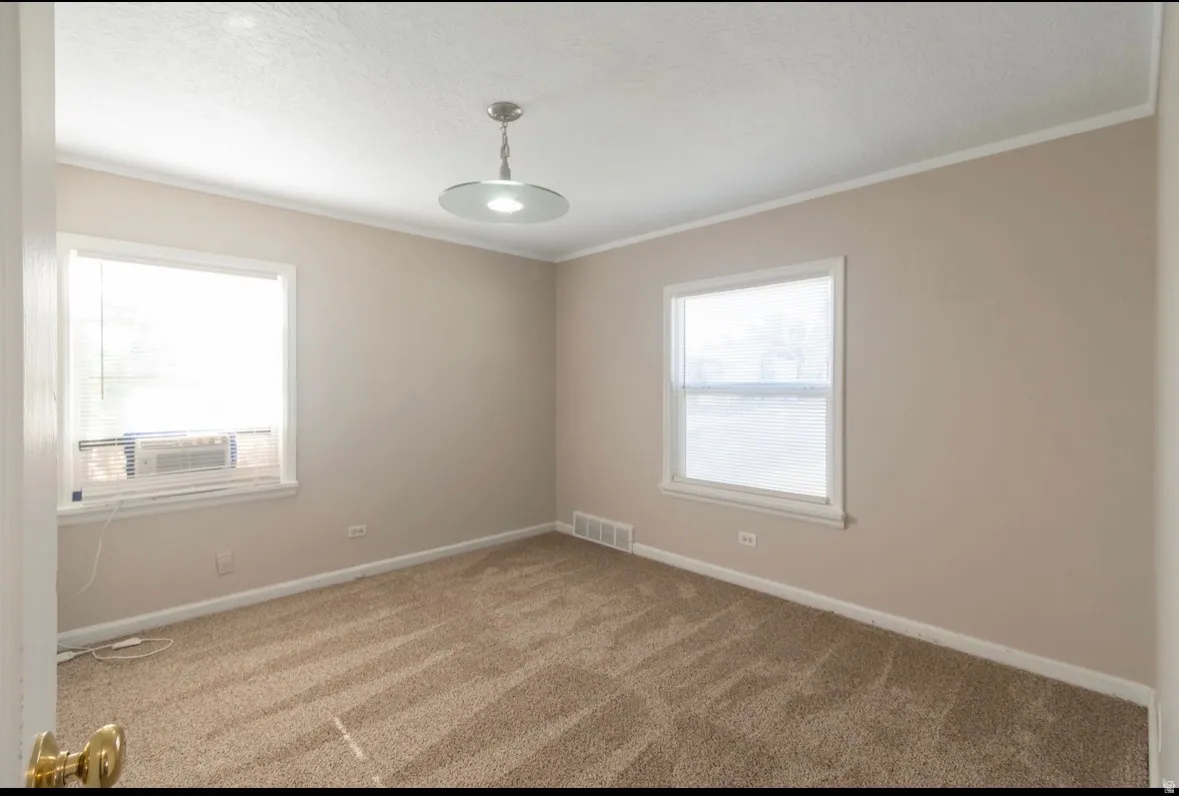 Carpeted room featuring two windows and a ceiling-mounted light fixture