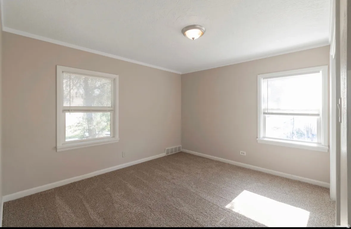 Carpeted room featuring two windows with blinds, light tan walls, and white trim