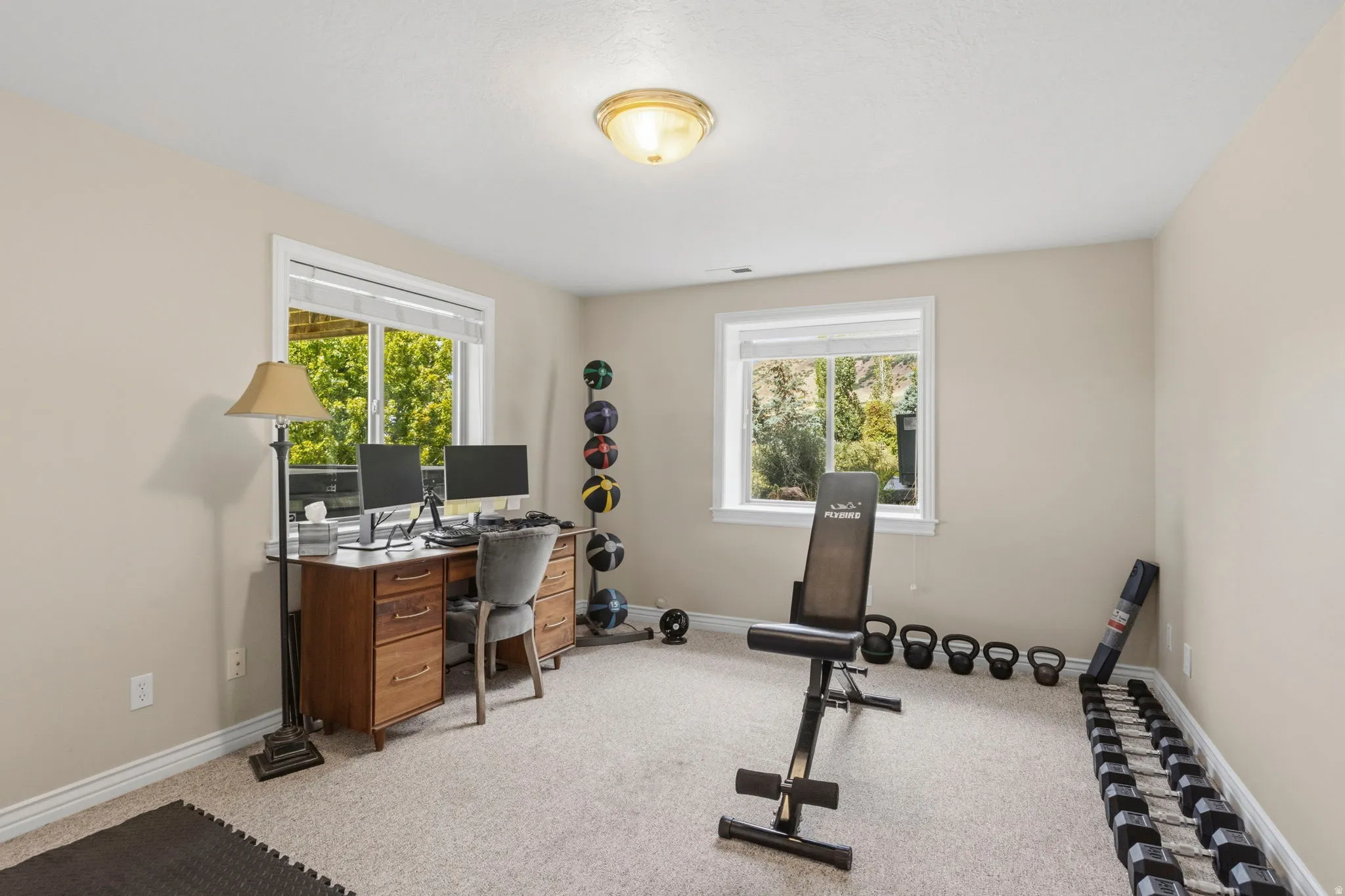 Versatile room featuring two large windows for abundant light, neutral-toned walls, and plush carpeting