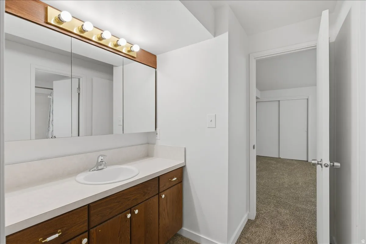 Vanity area featuring a spacious countertop, integrated sink, and wood-finish cabinetry
