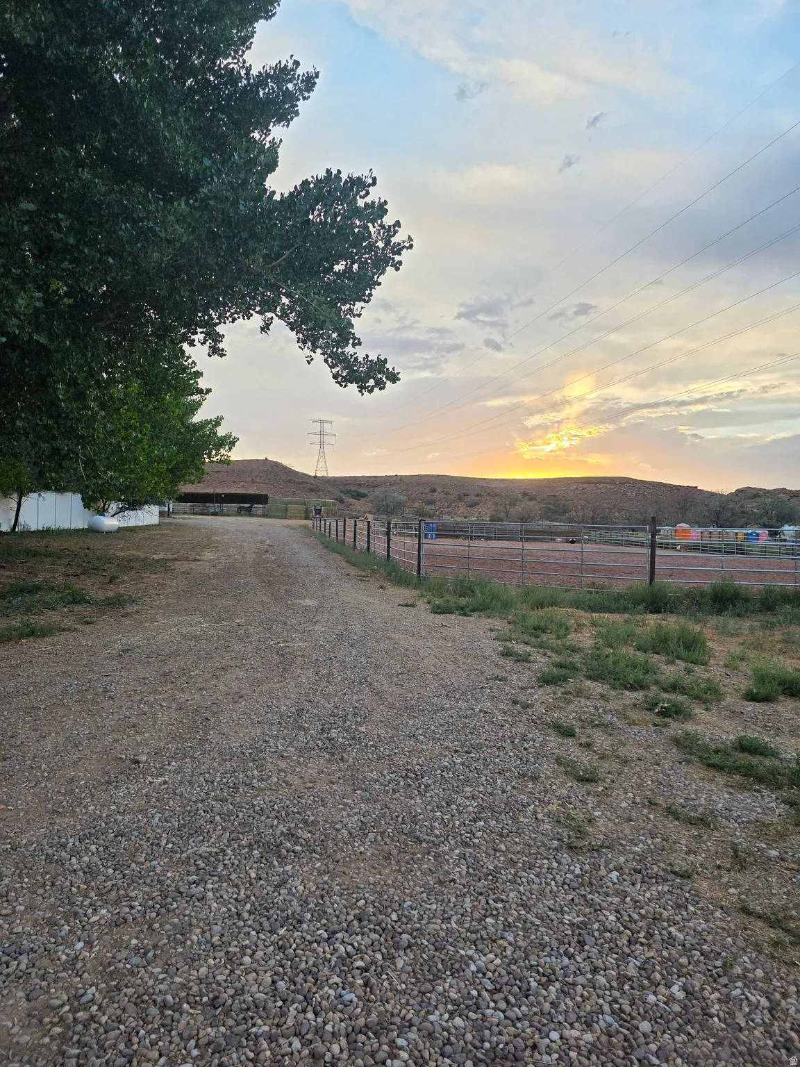 Gravel driveway with mature tree coverage and perimeter fencing