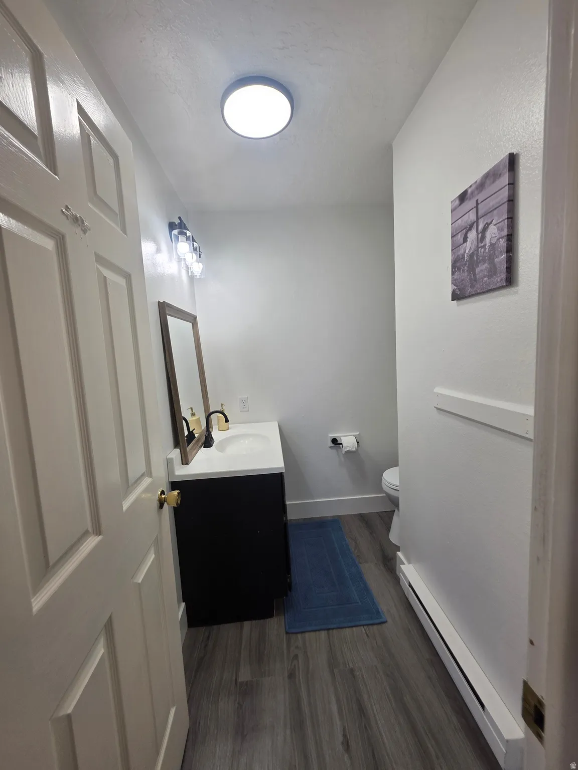 Bathroom featuring wood-finish flooring, a contemporary vanity with a white countertop and basin sink, a wall-mounted light fixture with three clear glass shades, and a flush-mount ceiling light