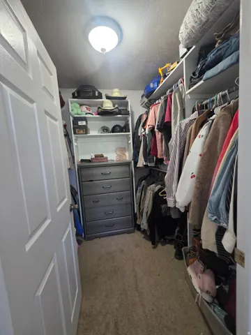 Walk-in closet featuring carpet flooring, built-in shelving, clothing rods, and a six-drawer dresser
