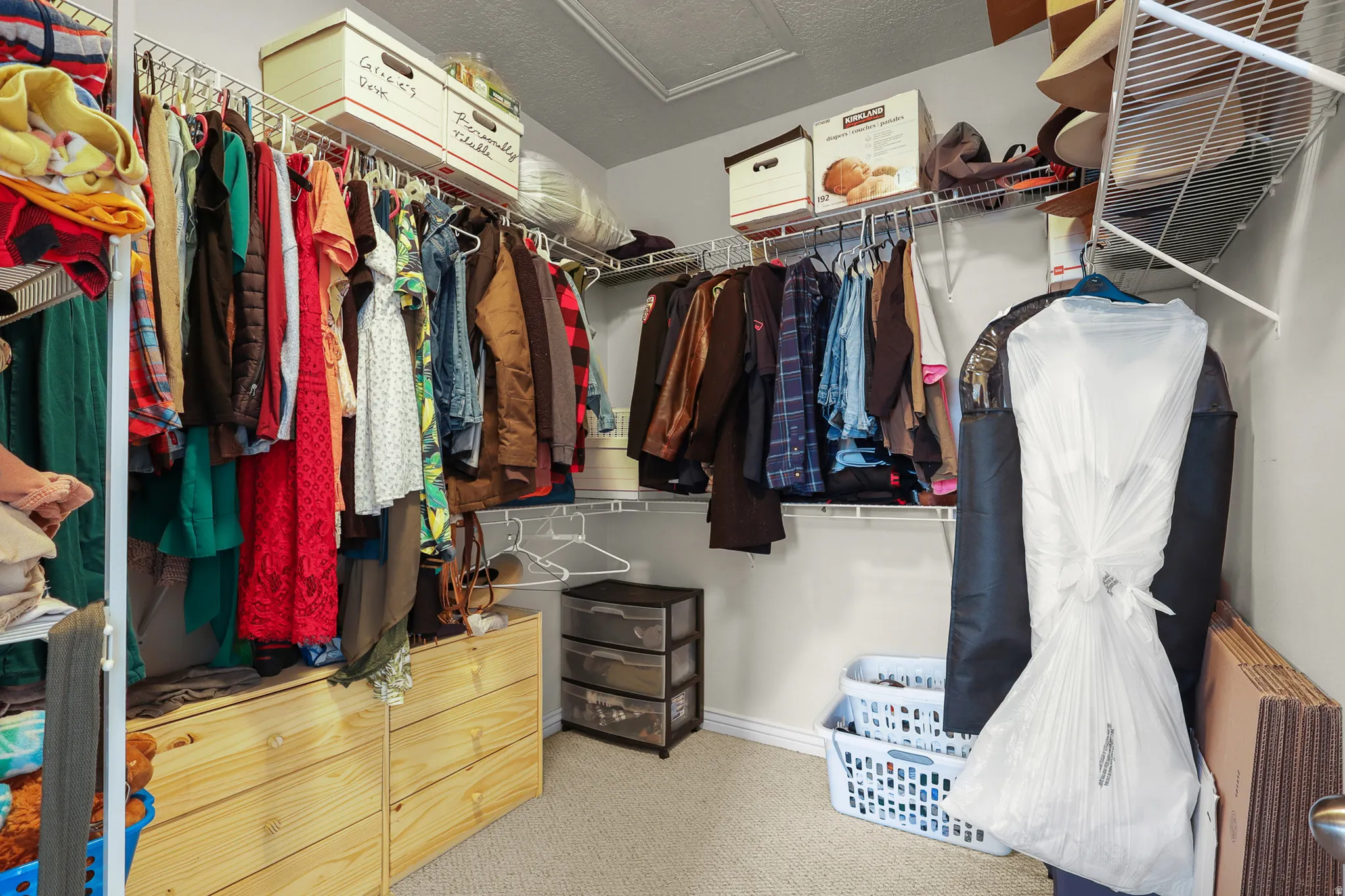 Walk-in closet featuring built-in wire shelving, hanging rods, light-toned carpeting, wood-finish drawer units, and neutral wall paint