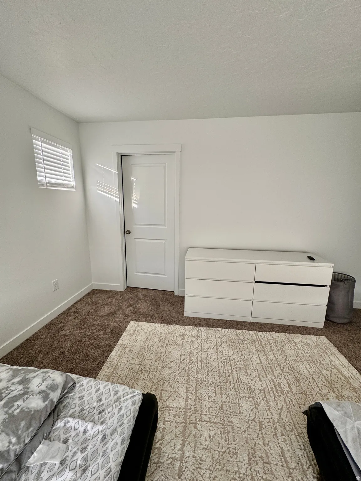 Bright interior room featuring neutral-toned walls, a single window with blinds, a white interior door, and plush carpeting