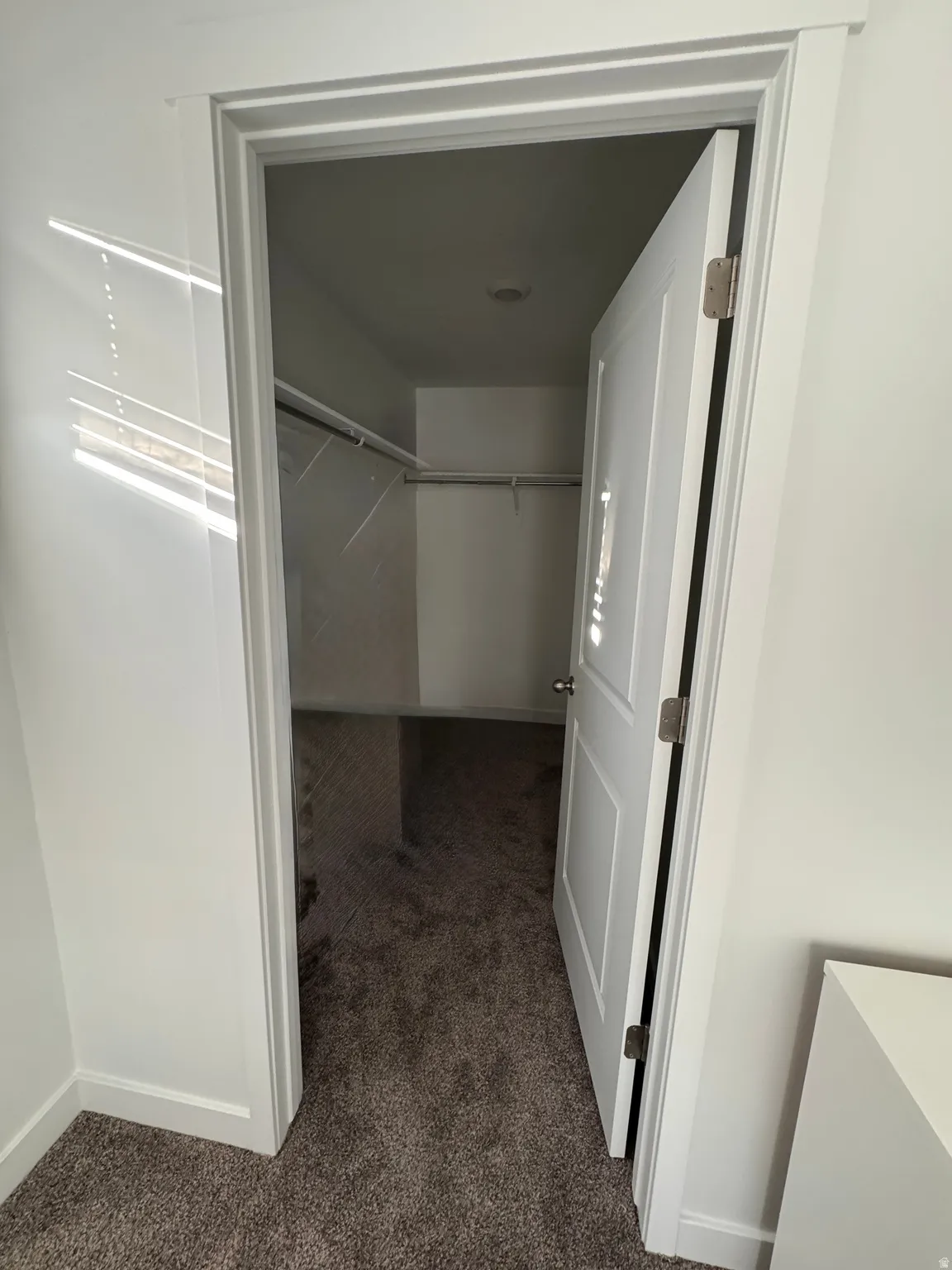 Interior closet featuring a white paneled door, integrated shelving, and carpeted flooring