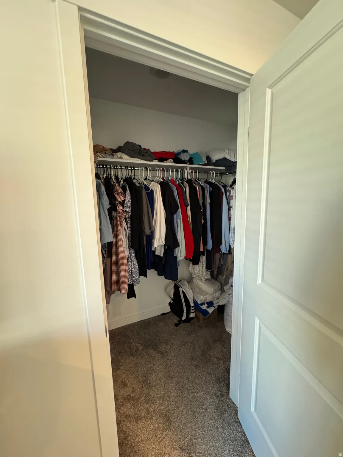 Walk-in closet with carpet flooring, white baseboards, and built-in shelving