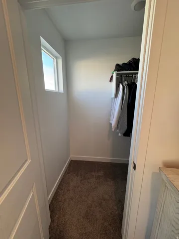 Walk-in closet featuring a window, built-in shelving, hanging rod, recessed lighting, and carpet flooring