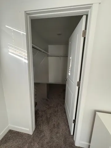 Interior closet featuring a white paneled door, integrated shelving, and carpeted flooring