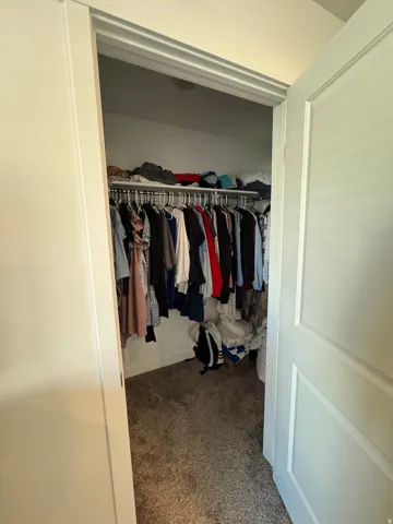 Walk-in closet with carpet flooring, white baseboards, and built-in shelving