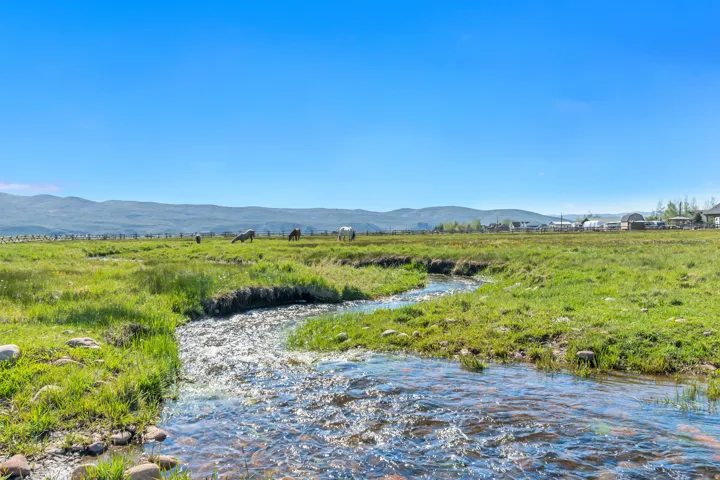 Flowing stream traversing a verdant pasture with distant mountainous terrain