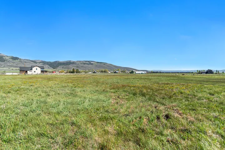 Expansive green field with distant mountain backdrop