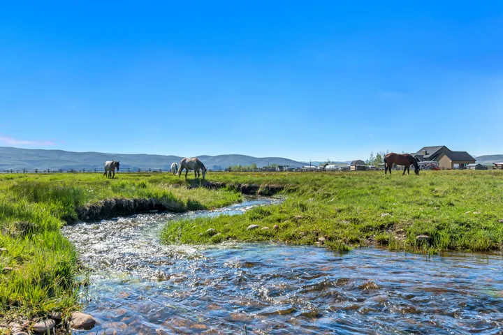 Expansive green pastureland with a winding stream