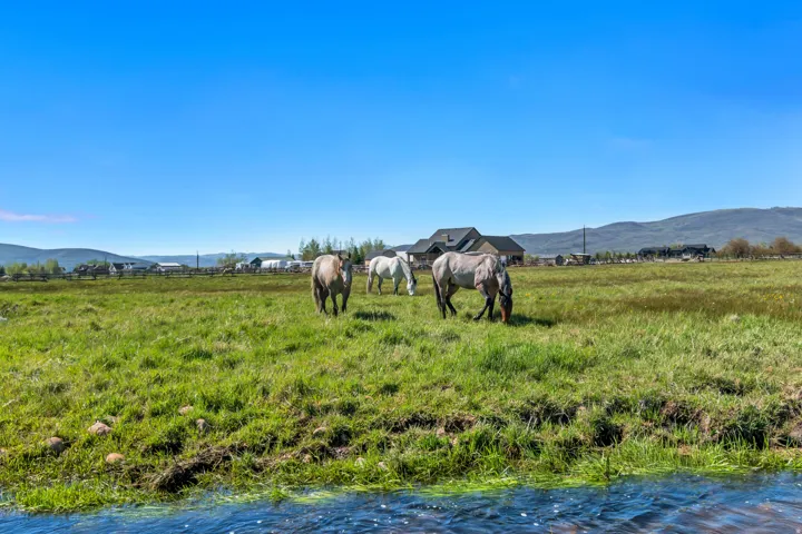 Expansive green pastureland with distant mountain ranges and a dark-toned residential structure