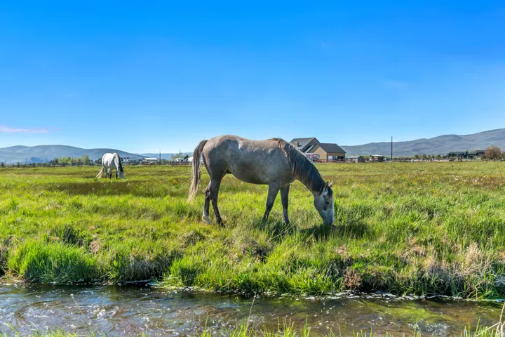 Expansive green pastures featuring a natural water element and distant mountain ranges