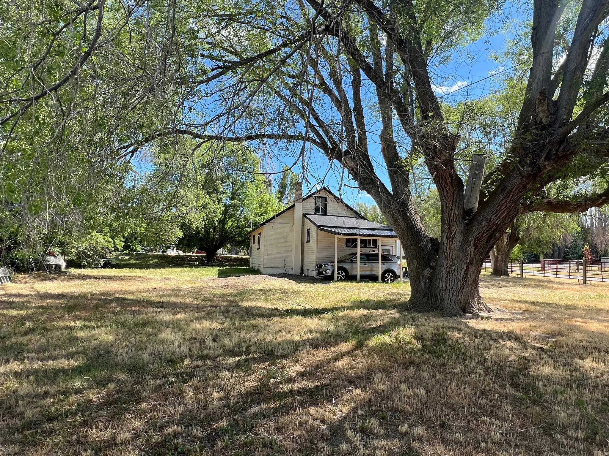 Expansive lot featuring mature trees, a detached single-story dwelling with a covered carport, light-colored siding, and a dark-colored roof