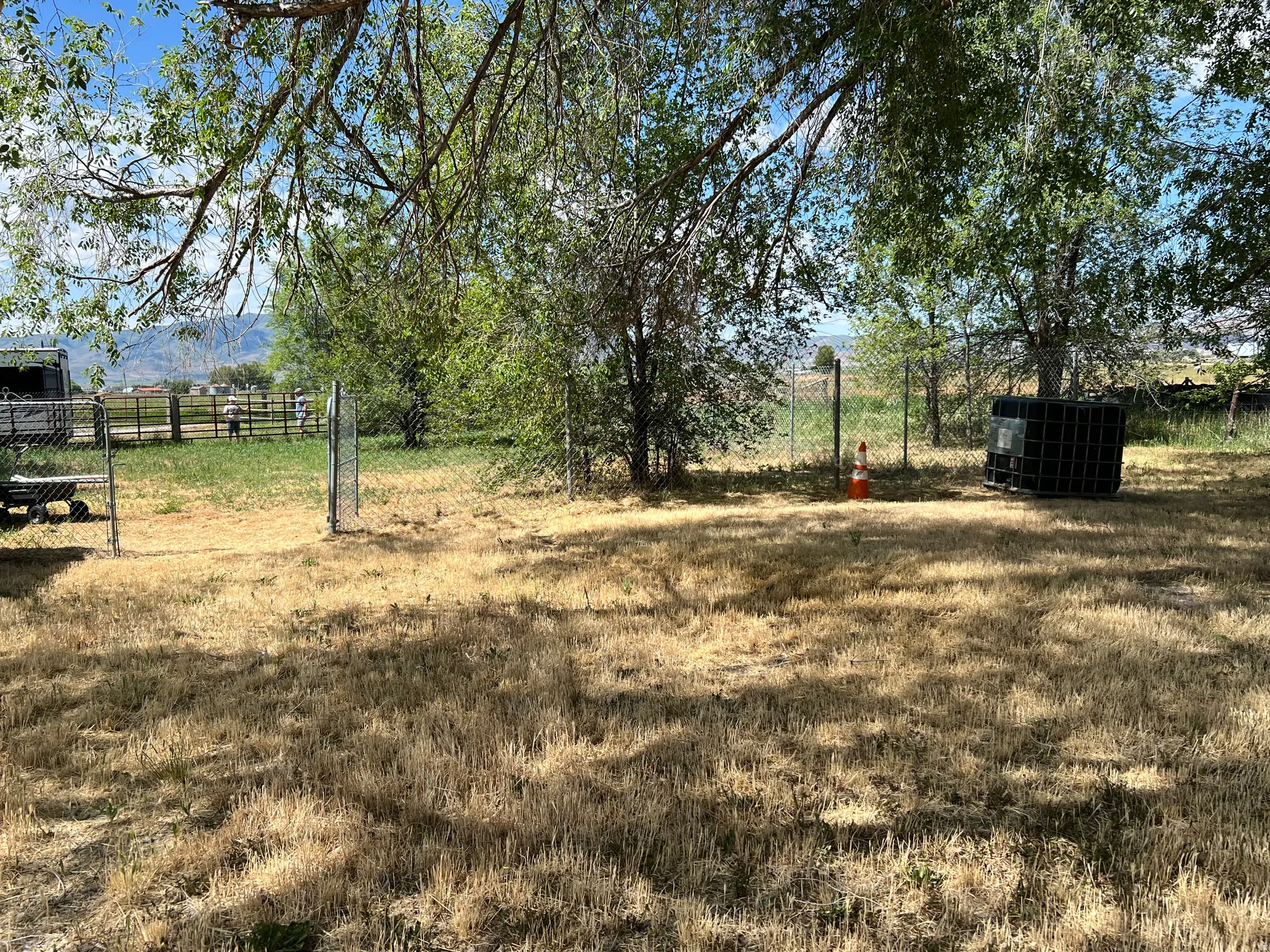 Expansive outdoor space featuring a chain-link fence, mature trees, and a mountain backdrop