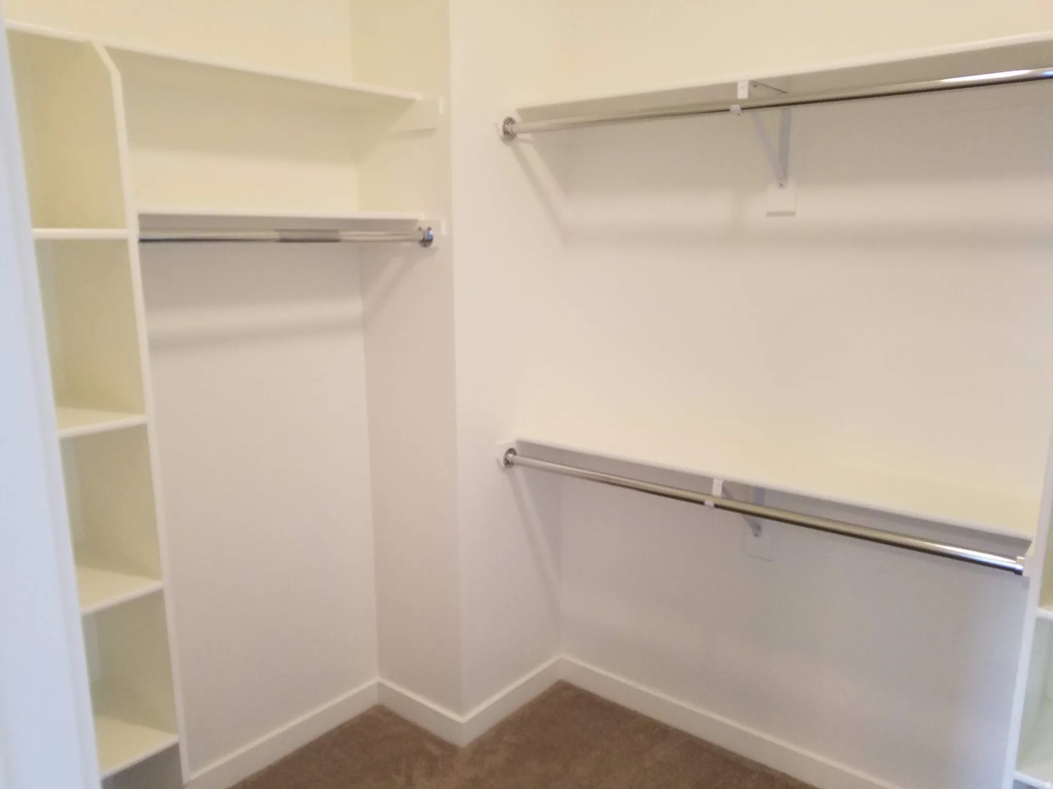 Walk-in closet featuring built-in shelving, multiple hanging rods, and neutral-toned carpeting