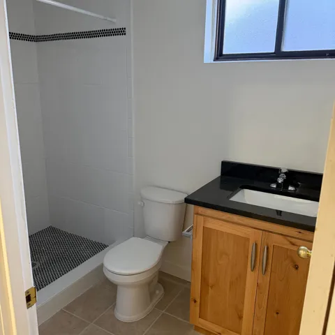 Bathroom featuring a tile shower with black penny tile flooring and a decorative black tile accent band