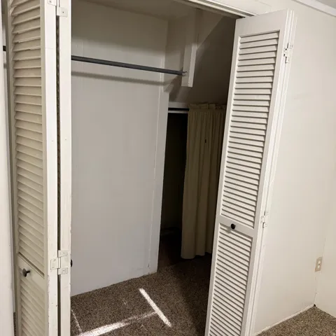 Closet featuring louvered bi-fold doors, hanging rod, and carpet flooring