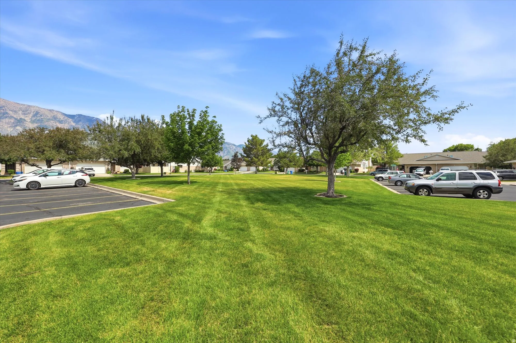 Expansive green space featuring mature trees and a paved parking area