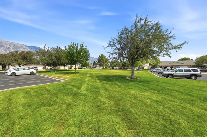 Expansive green space featuring mature trees and a paved parking area