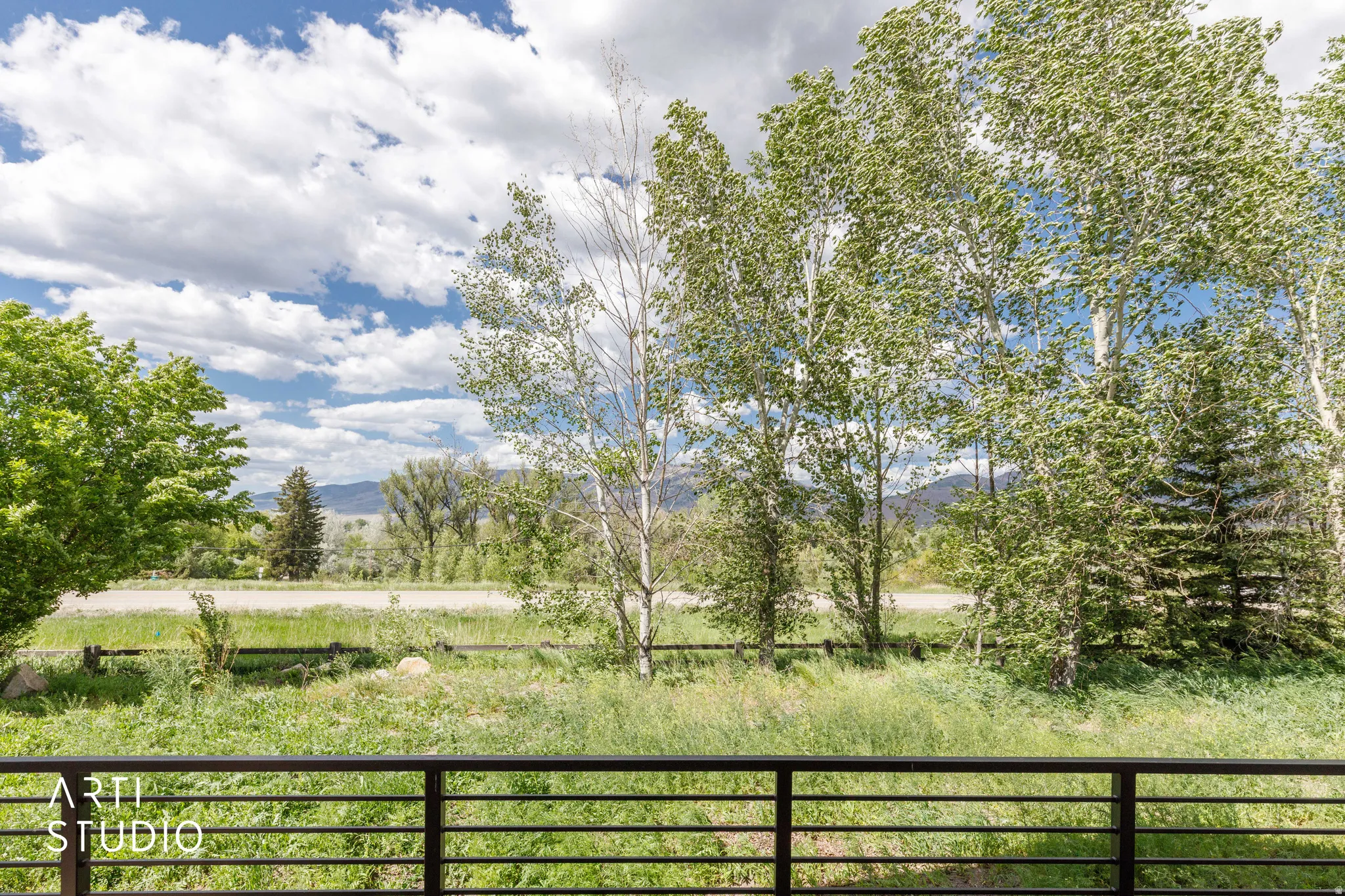 Expansive outdoor scenery featuring mature trees, a grassy field, and distant mountains under a blue sky with white clouds