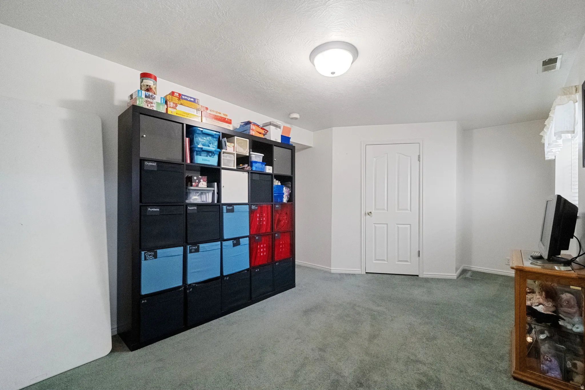 Basement bedroom with large walk-in closet