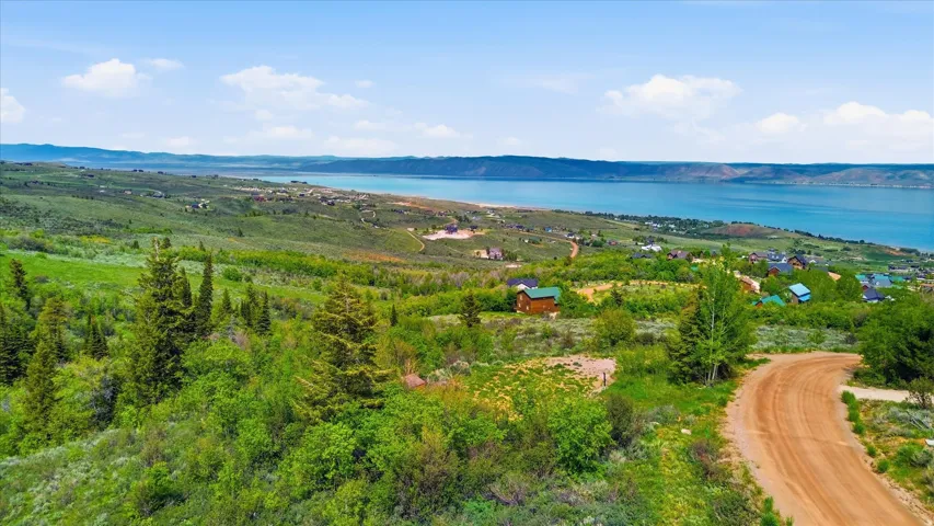 Expansive parcel featuring a winding dirt road and diverse green foliage