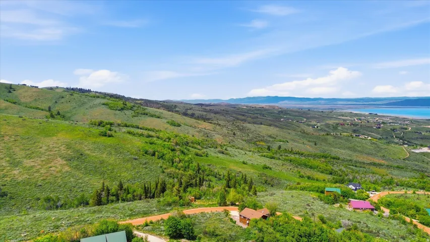 Expansive green hillside with scattered trees and distant water body